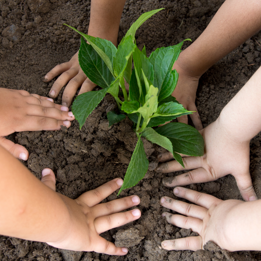 Earth Is Our Home