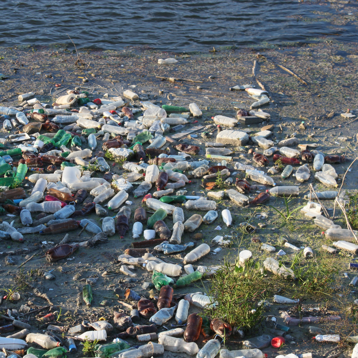 Water Pollution Awareness
